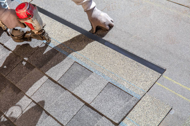 Best Roof Moss and Algae Removal  in Pleasantville, IA